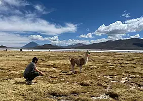 turistipercaso XFYL8915