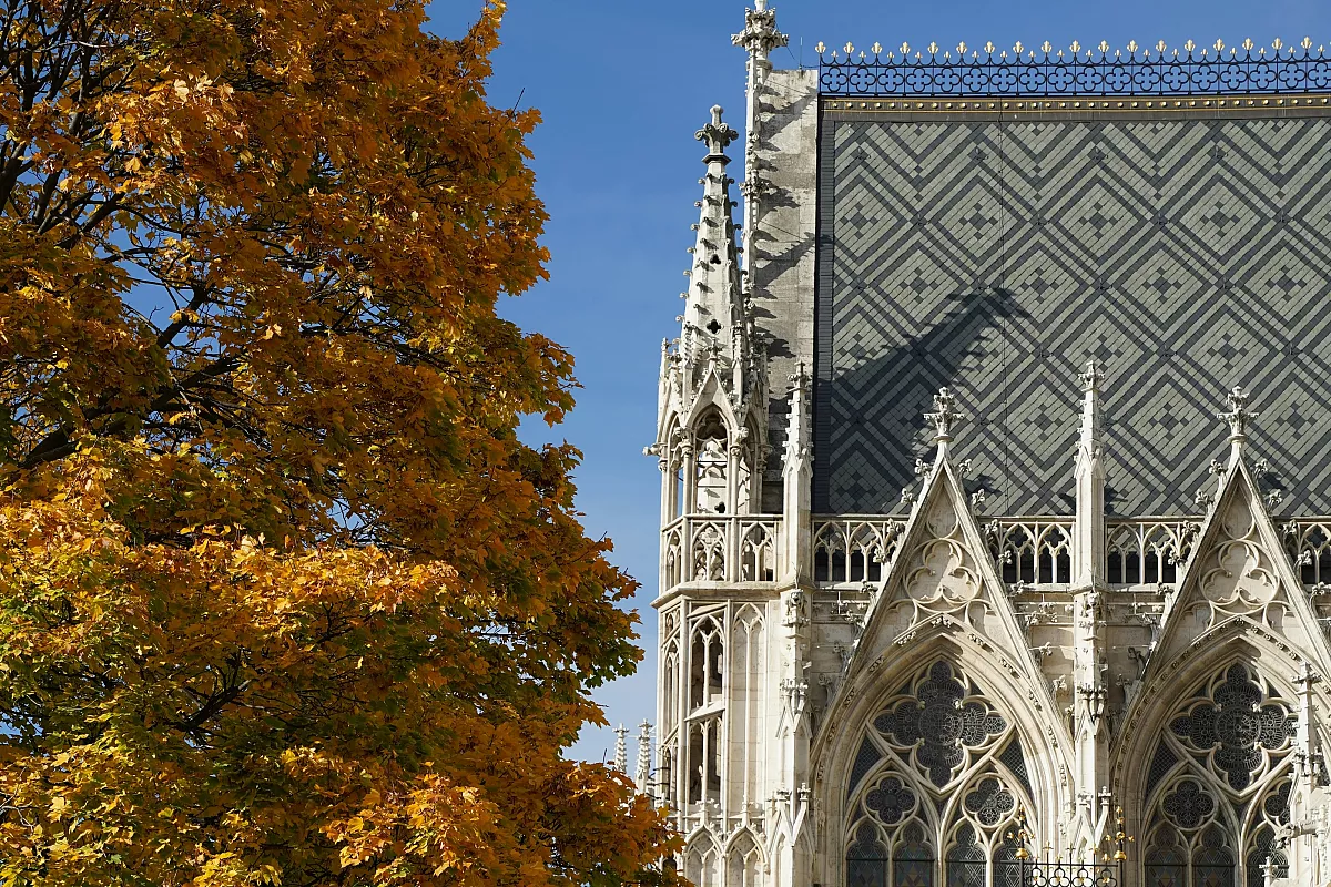 Vienna: una visita d’autunno alternativa, tra pasticcerie, architetture visionarie e cimiteri