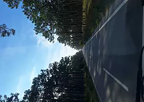 turistipercaso 20251119_111220