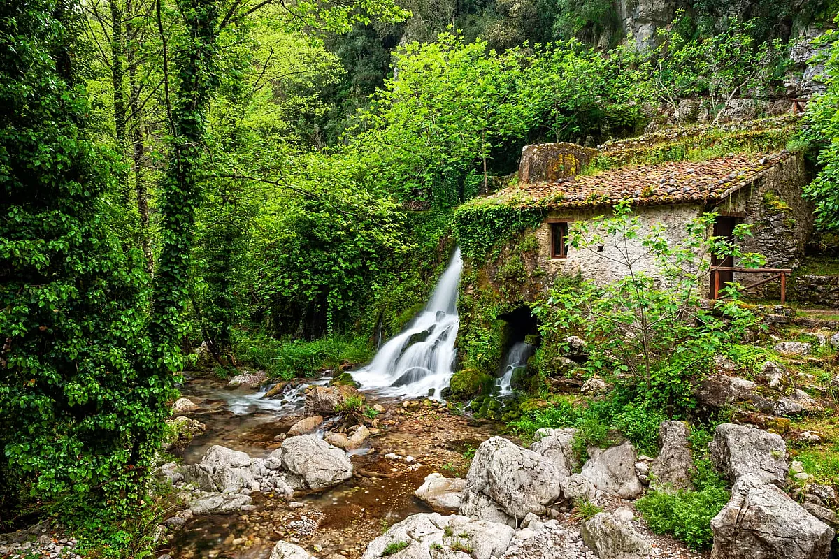 Morigerati