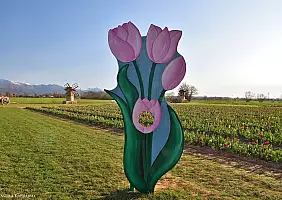 turistipercaso 503820087_4230454677237660_1179257180303487029_n