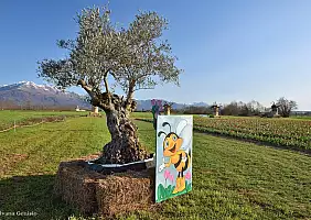turistipercaso 503973284_4230455300570931_5223048345247932952_n