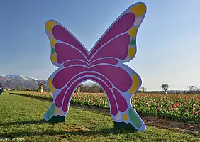 turistipercaso 503977493_4230454627237665_6073682428711391426_n