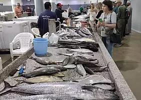 turistipercaso Mercato_del_pesce_Muscat