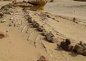 turistipercaso _JEN1212