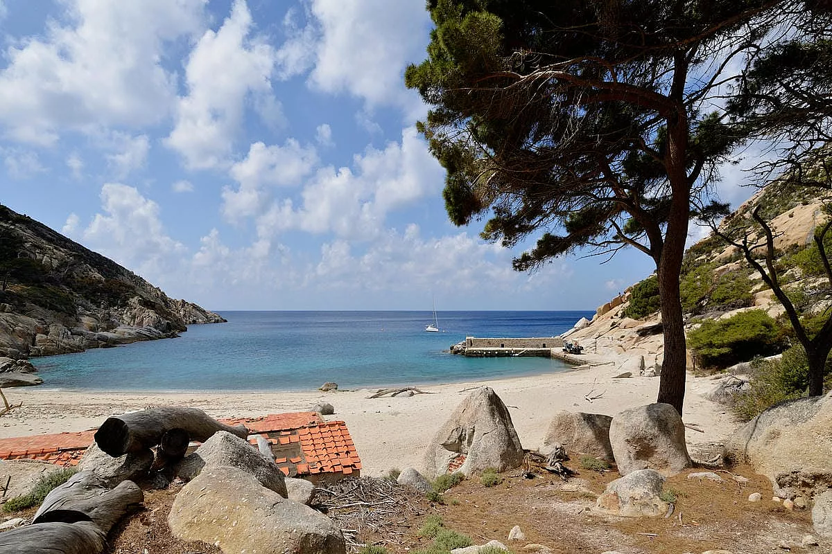 Isola di Montecristo: come prenotare una visita nel 2026