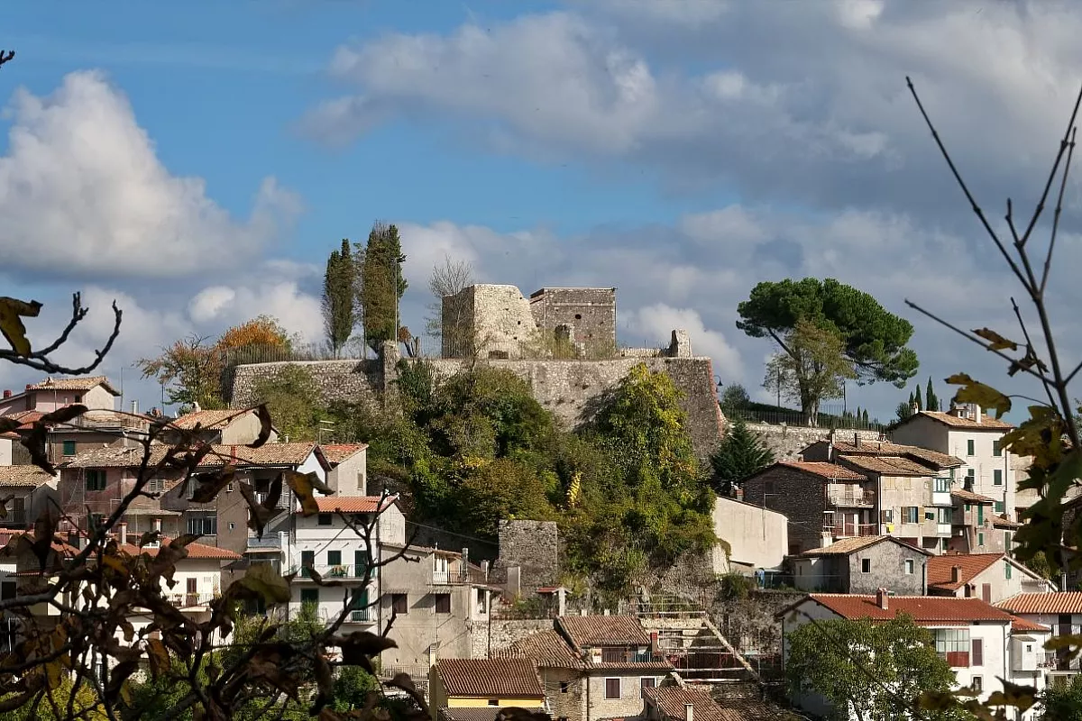 Vivaro Romano