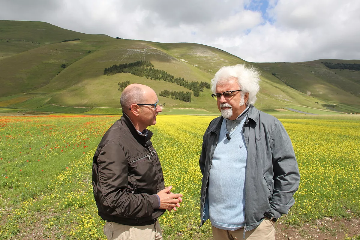 TG del Turismo: notizie da Yorkshire, Monza, Castelluccio di Norcia e Pegognaga