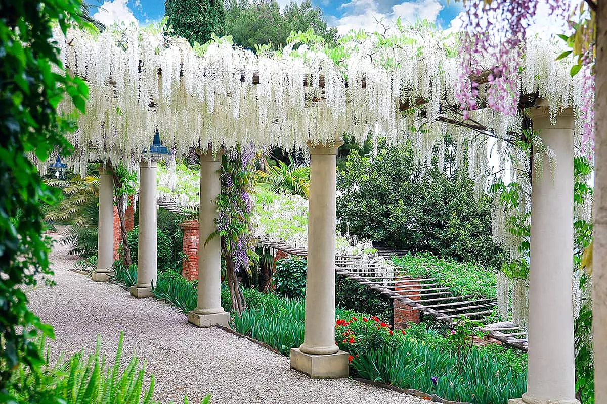 Villa della Pergola, Alassio