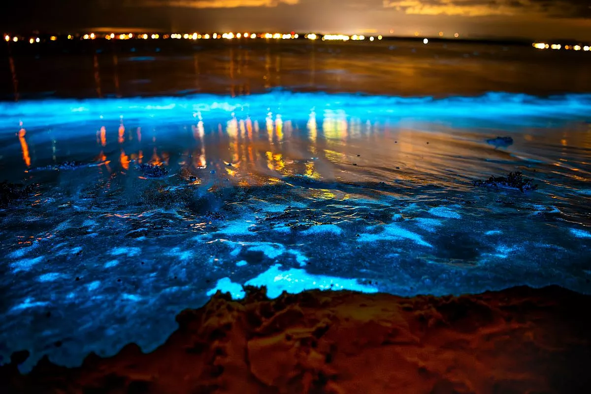 In Australia c’è un’incredibile spiaggia che si illumina senza bisogno di energia elettrica