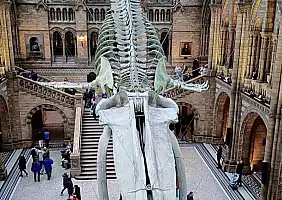 turistipercaso LONDON17