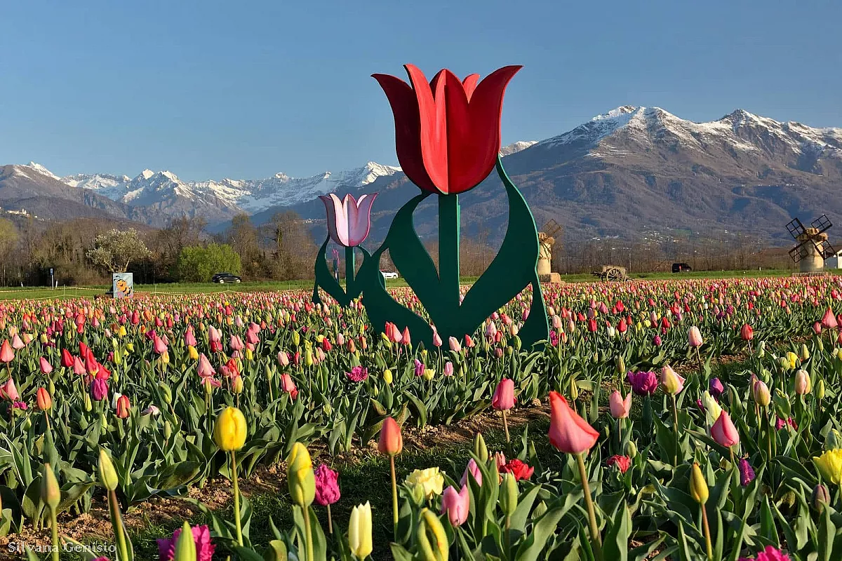 Villaggio dei Tulipani 2026 Favria