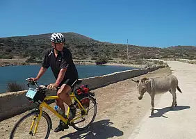 turistipercaso asinello_albino