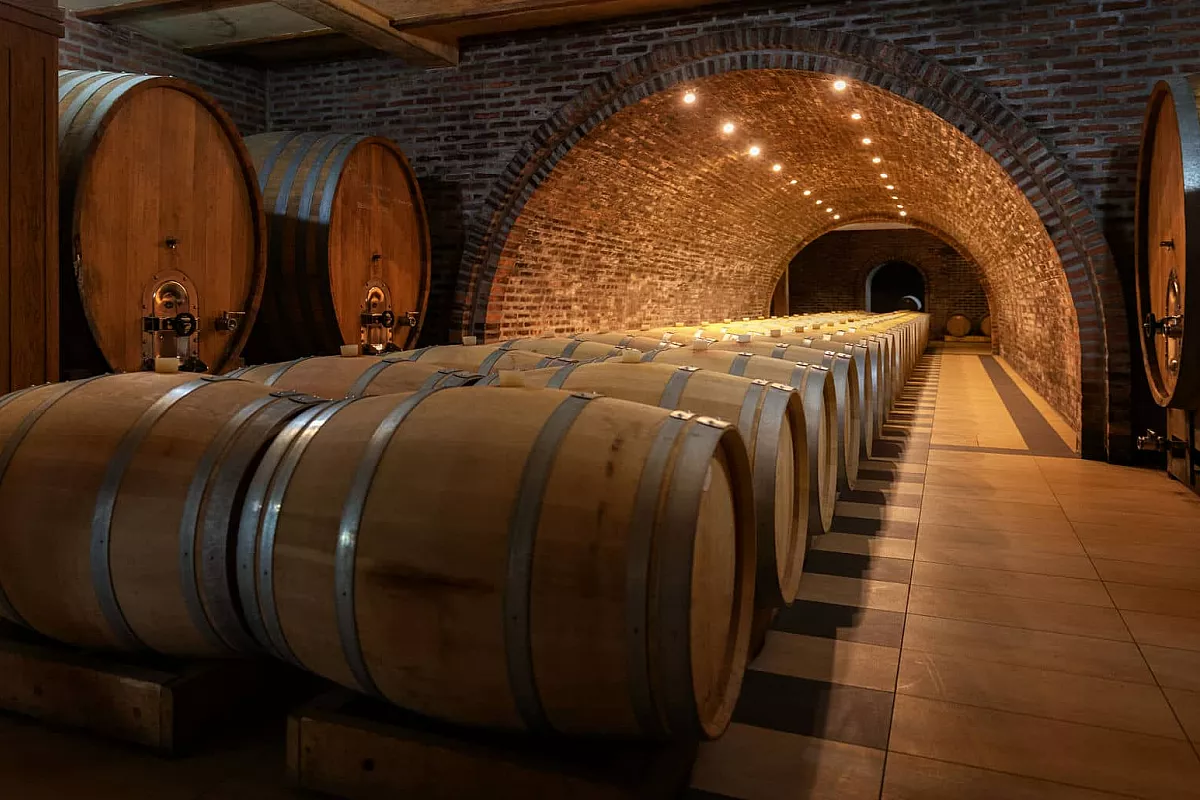 cantine porto