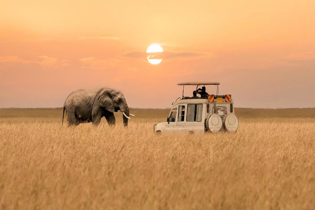 Safari in Kenya