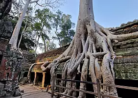 turistipercaso 1000124801