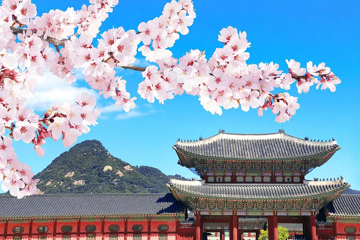 Seul