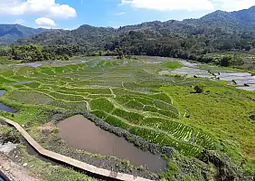 turistipercaso 161_Liona_Top_Cafe_Kopi_Ratu_rid_