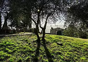 turistipercaso 3 - Borgo Montecastelli