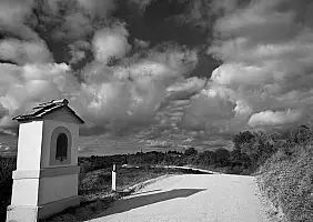 turistipercaso 8 - Quarto giorno - Sulla strada bianca per San Pietro alle Stinche