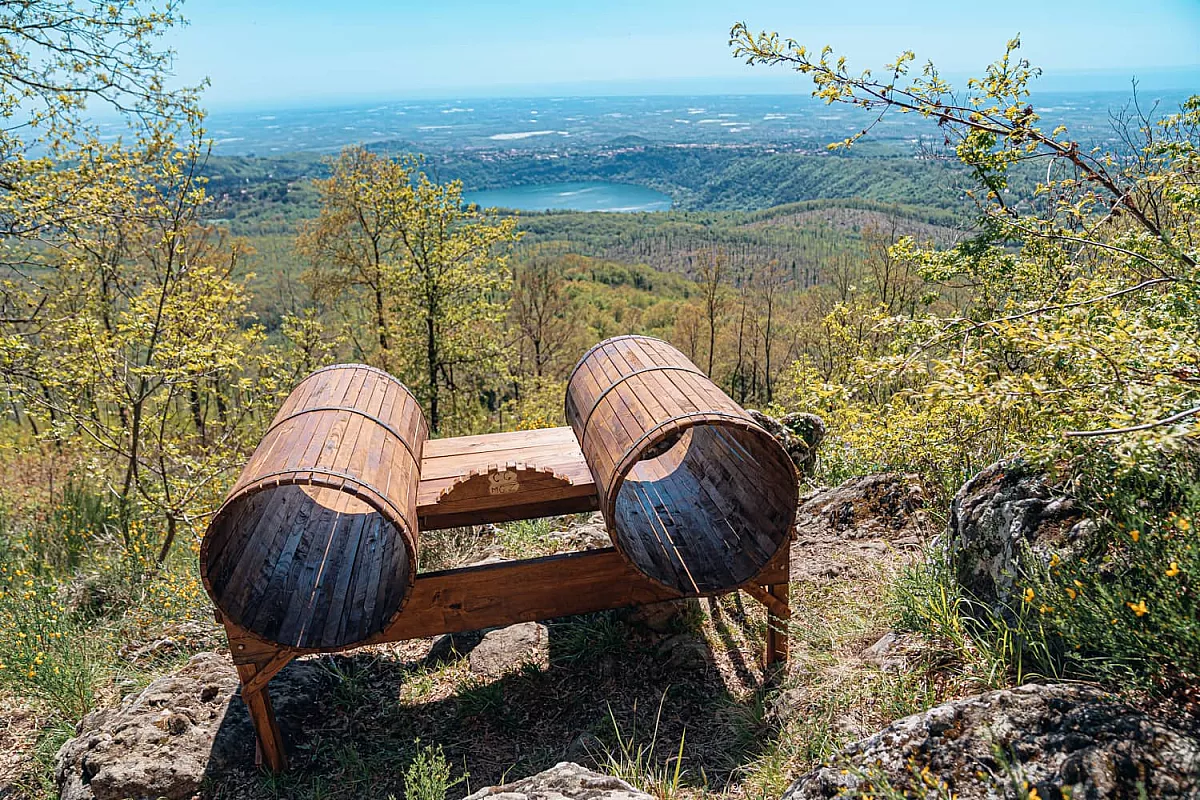 Binocolo del bosco
