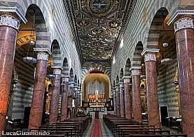 turistipercaso SIE_008
