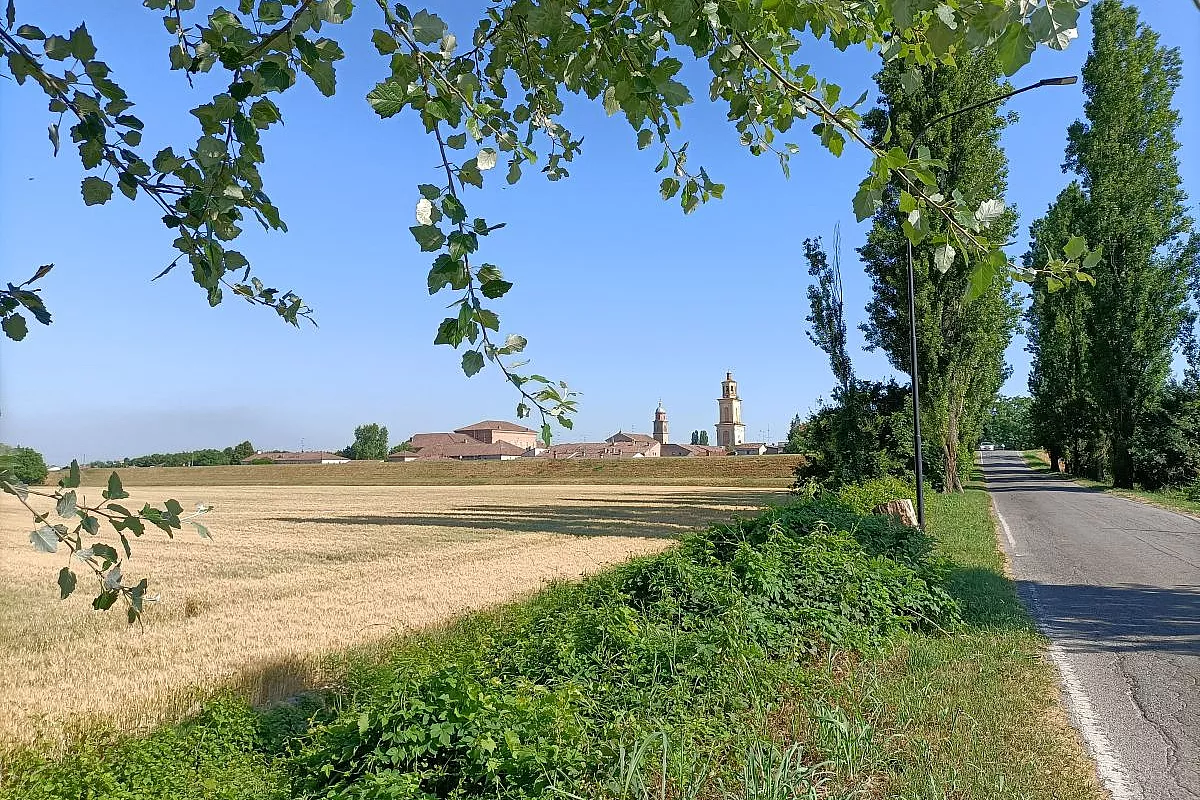gualtieri