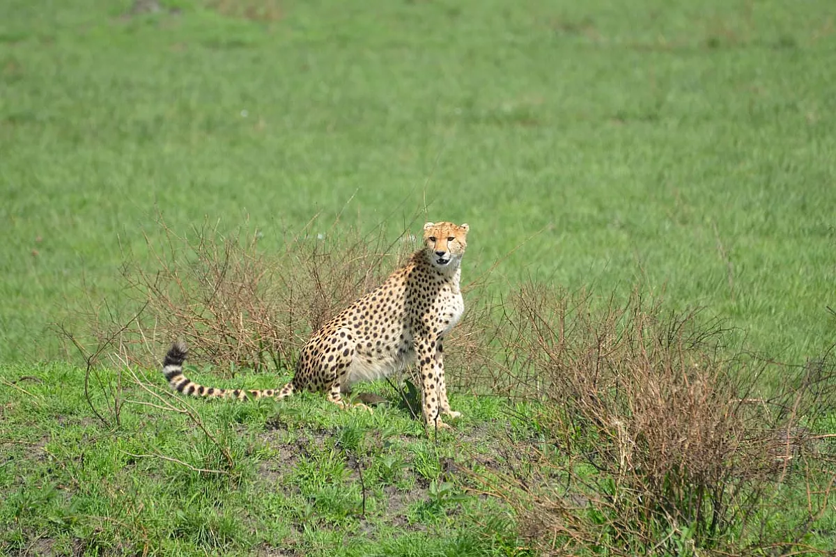 Kenya