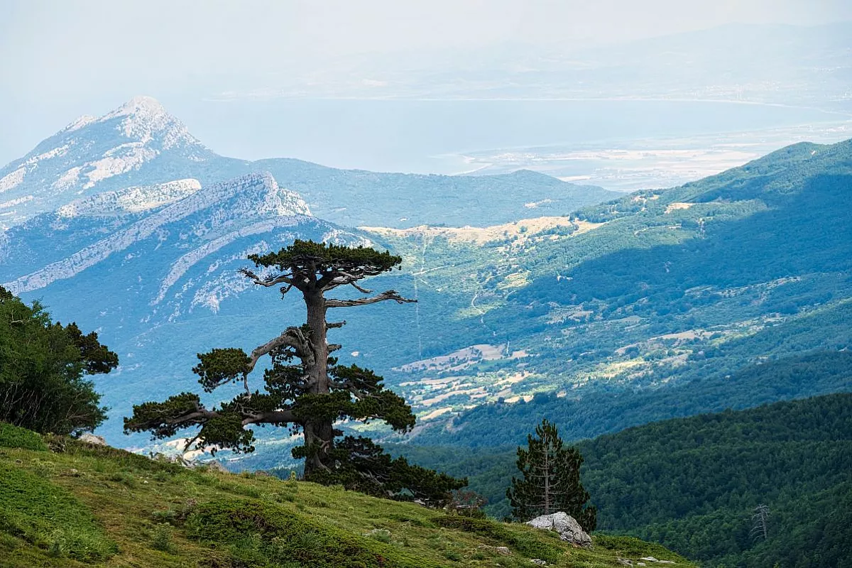 parco del pollino