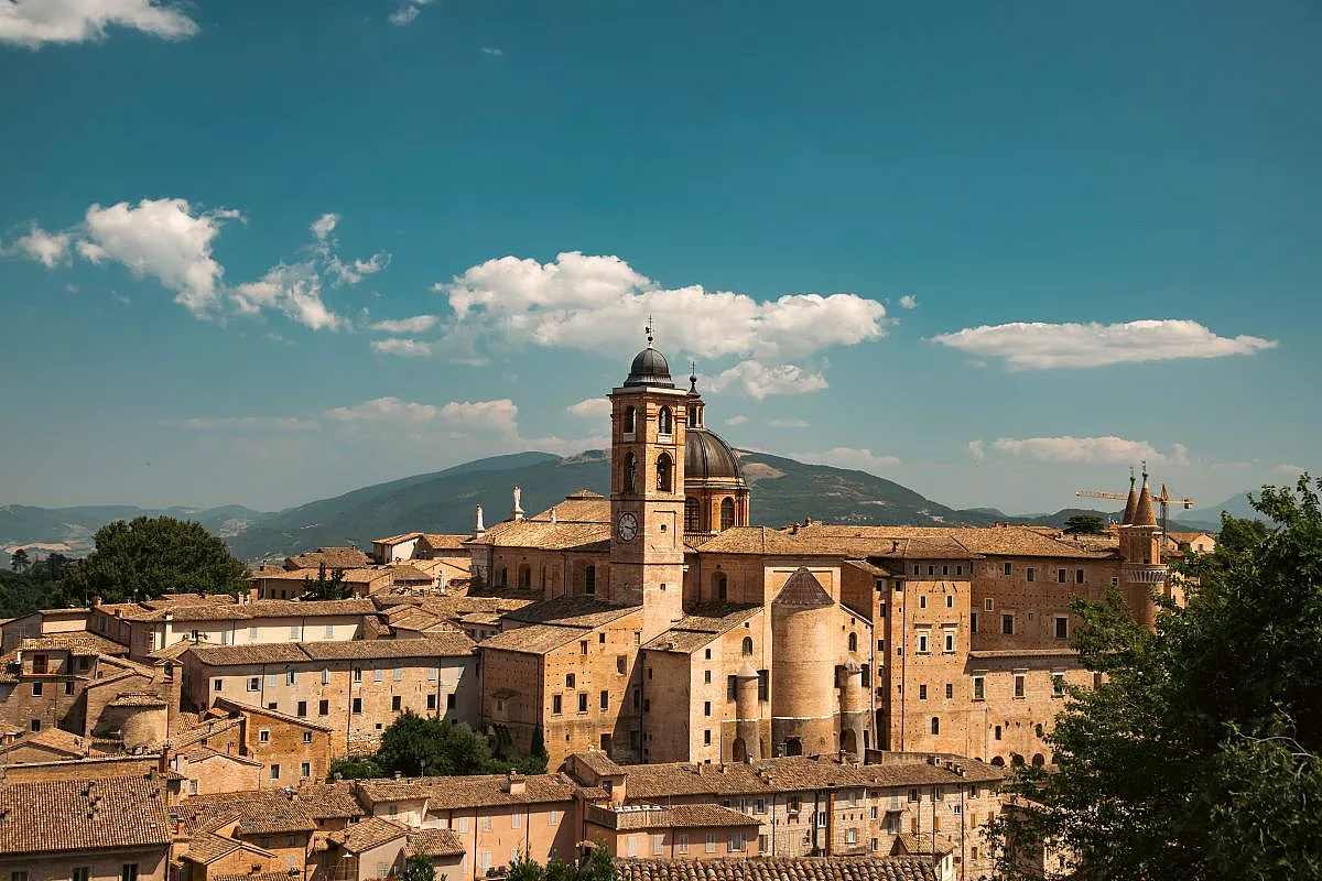 urbino