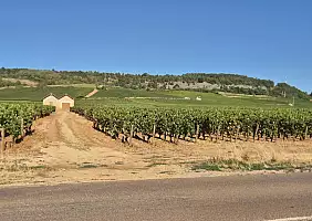 turistipercaso 20260807_093653