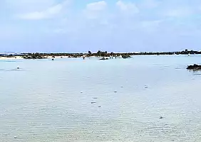 turistipercaso 2026_2_lanz_50_