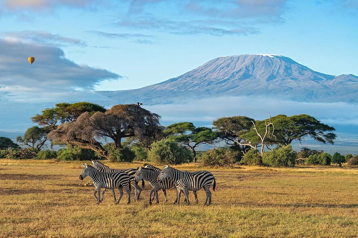 amboseli kenya