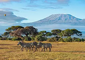 turistipercaso amboseli kenya_2518775841