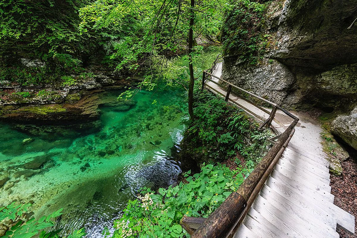 Questo canyon verde si raggiunge con un sentiero sull’acqua: passerelle, gole e frescura naturale