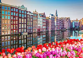 turistipercaso amsterdam_2263179229