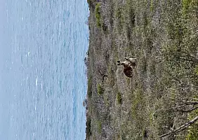 turistipercaso 1000069905