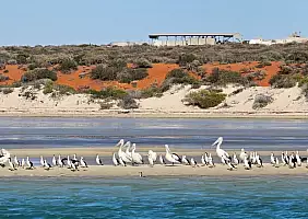 turistipercaso 1000071447