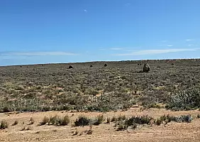 turistipercaso 1000071877