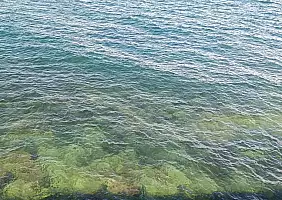 turistipercaso 70414
