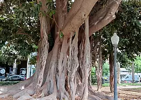 turistipercaso 70531