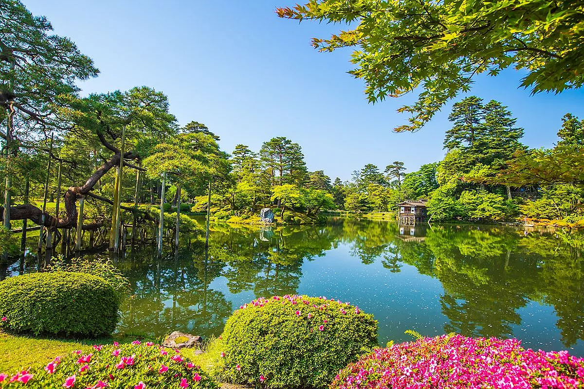 Giardini perfetti, case da tè e templi: la città giapponese che molti saltano per andare a Kyoto