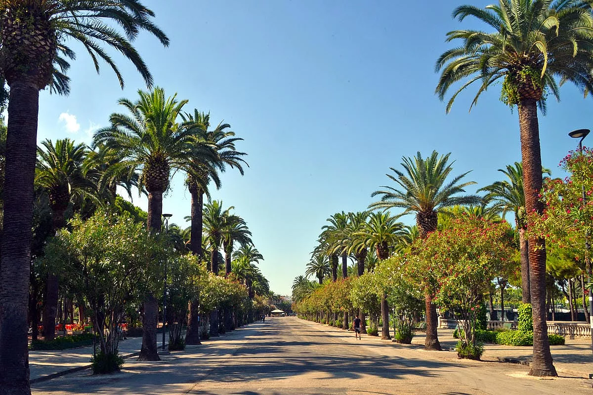 riviera delle palme